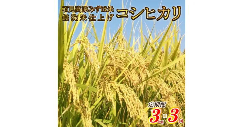 【ふるさと納税】令和6年産【定期便3回】石見高原みずほ米コシヒカリ 無洗米仕上 3kgx3回