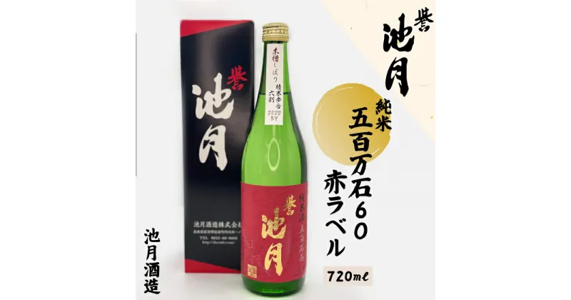 【ふるさと納税】純米 五百万石 60 赤ラベル 720ml 池月酒造