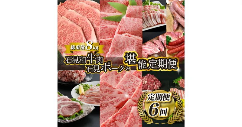 【ふるさと納税】「定期便 全6回」邑南自慢 石見和牛肉・石見ポーク 堪能定期便 総重量8kg