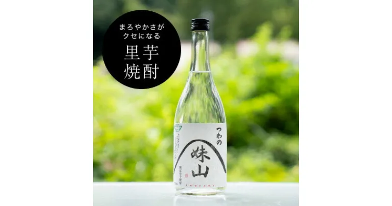 【ふるさと納税】特産のとろりとしてねばりけのある里芋でつくった里芋焼酎【大(720ml)×1本】【1341162】