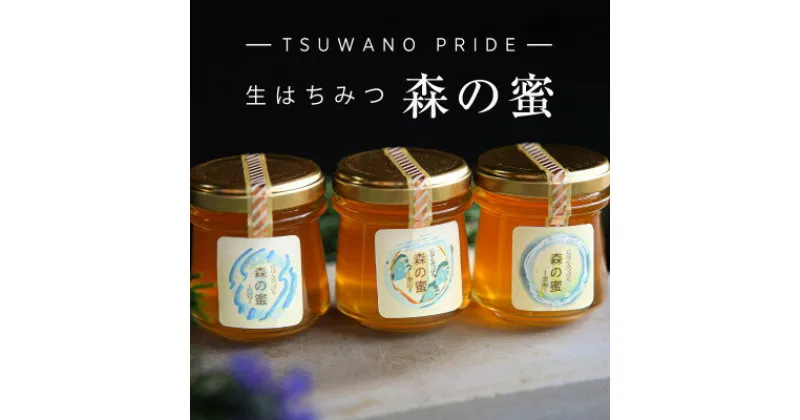 【ふるさと納税】自然薫る完熟生はちみつ「森の蜜」3種食べ比べBセット(120g×3)【1377162】