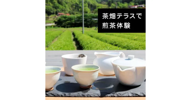 【ふるさと納税】【参加チケット】茶畑を一望するお茶農家のテラスで煎茶体験&飲み比べ【1442288】