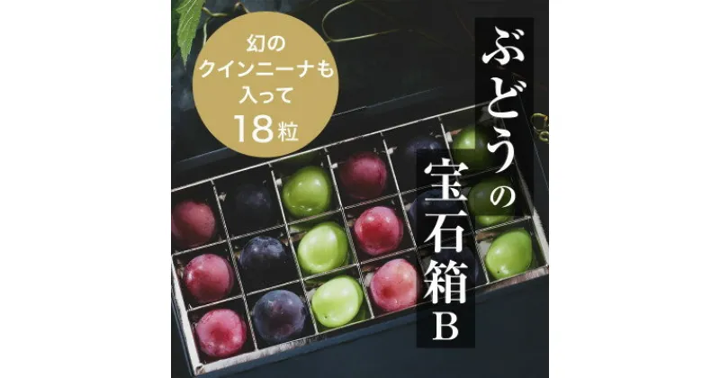 【ふるさと納税】『ぶどうの宝石箱B』(3品種)【2025年9月より順次発送/ふるさと納税限定/数量限定】【配送不可地域：離島】【1458789】