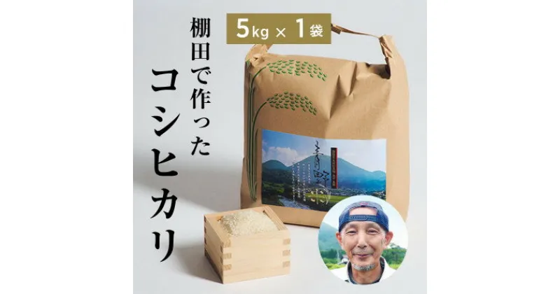 【ふるさと納税】青野山の湧水と朝晩の寒暖差が育んだ棚田の甘～い米「コシヒカリ」(白米5kg×1袋)(令和6年度産)【1524991】