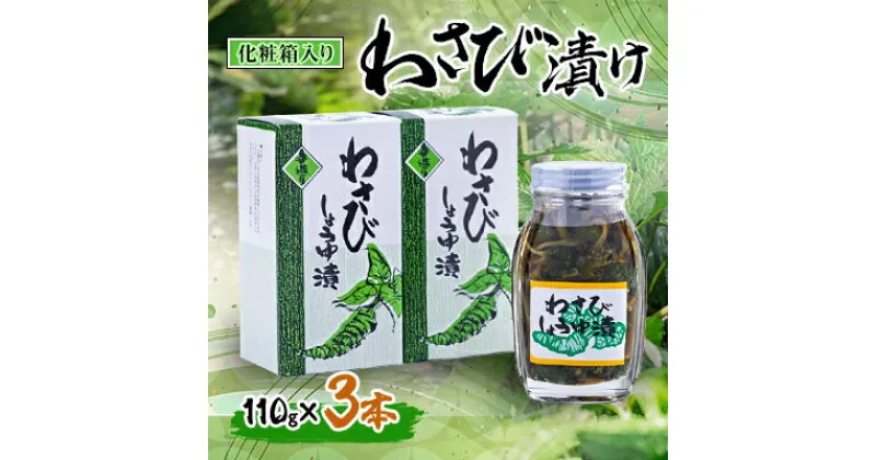 【ふるさと納税】わさび漬け 110g×3本(化粧箱入り)【配送不可地域：離島】【1259736】