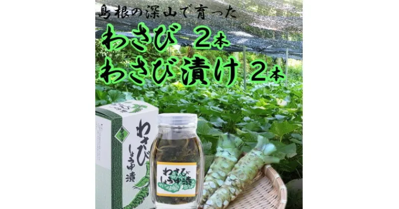 【ふるさと納税】根わさび、わさび漬けセット【配送不可地域：離島】【1259756】