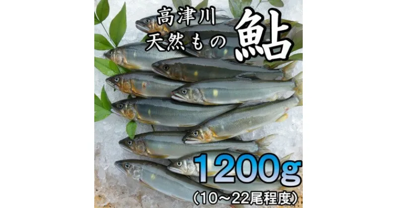 【ふるさと納税】高津川天然あゆ冷凍　1200g(吉賀町)【配送不可地域：離島】【1259205】