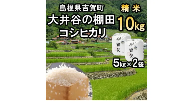 【ふるさと納税】【令和6年9月下旬より順次発送】令和6年産　棚田米コシヒカリ精米10kg【1259300】