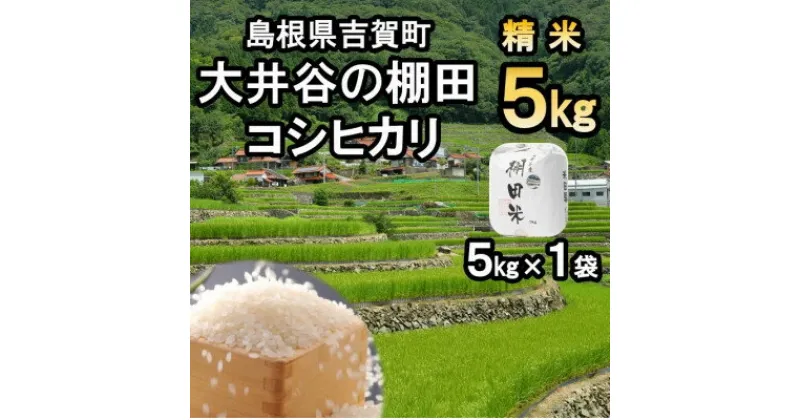 【ふるさと納税】【令和6年9月下旬より順次発送】令和6年産　棚田米コシヒカリ精米5kg【1259299】