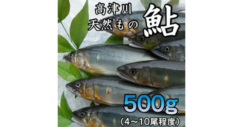 【ふるさと納税】高津川天然あゆ冷凍　500g(吉賀町)【配送不可地域：離島】【1259201】