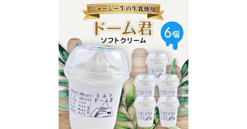 【ふるさと納税】ジャージー牛の生乳を使用したソフトクリーム　ドーム君　6個入り【配送不可地域：離島】【1260021】