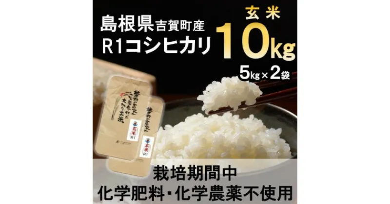 【ふるさと納税】【栽培期間中化学肥料・化学農薬不使用】令和6年産R1米コシヒカリ10kg(玄米)【1448684】