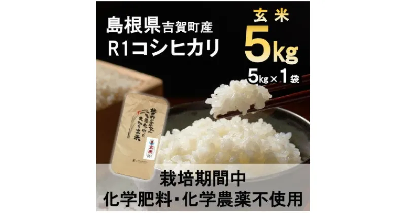 【ふるさと納税】【栽培期間中化学肥料・化学農薬不使用】令和6年産R1米コシヒカリ5kg(玄米)【1448680】