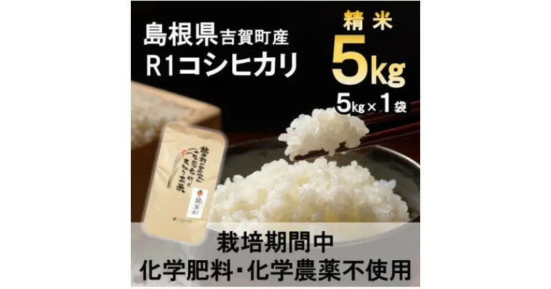 【ふるさと納税】【栽培期間中化学肥料・化学農薬不使用】令和6年産R1米コシヒカリ5kg(精米)【1448692】