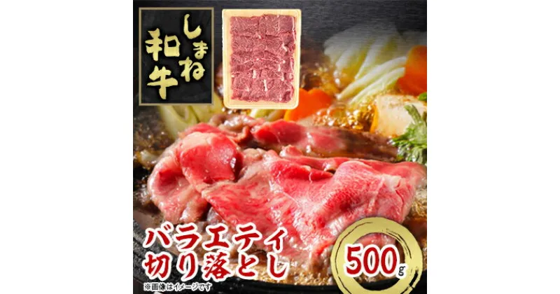 【ふるさと納税】しまね和牛　バラエティ切り落とし　500g【配送不可地域：離島】【1463373】