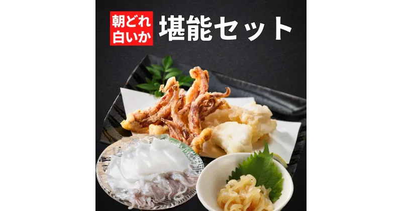 【ふるさと納税】高級 朝どれ 白いか 堪能セット 干物 揚げ物 醤油漬け 冷凍 小分け CAS CAS冷凍