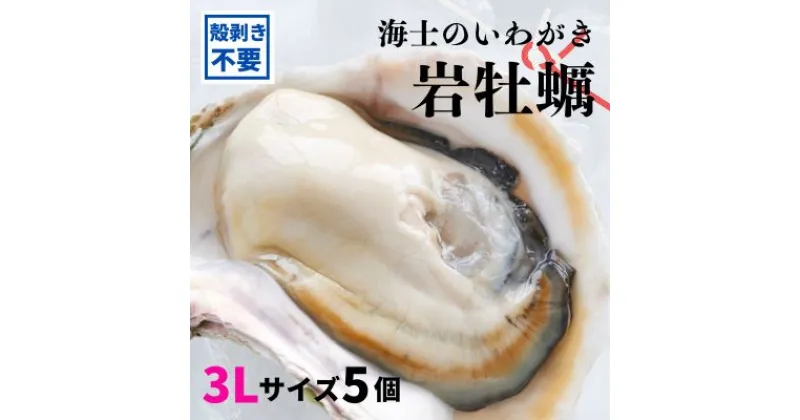 【ふるさと納税】【のし付き いわがき 殻なし 3Lサイズ 5個】海士のいわがき 岩牡蠣 生食可 冷凍 牡蛎 牡蠣 かき カキ 岩牡蠣 いわがき 冷凍 父の日 母の日 バーベキュー ギフト