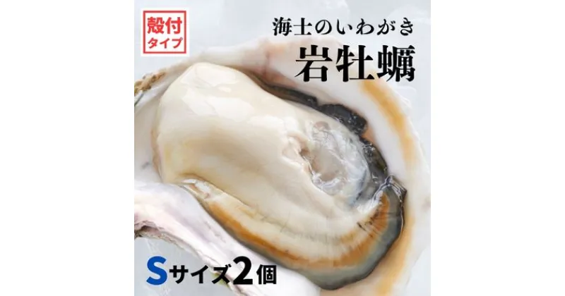 【ふるさと納税】【いわがき 殻付き Sサイズ 2個】 岩牡蠣 生食可 冷凍 牡蛎 牡蠣 かき カキ 岩牡蠣 いわがき 冷凍 父の日 母の日 バーベキュー ギフト