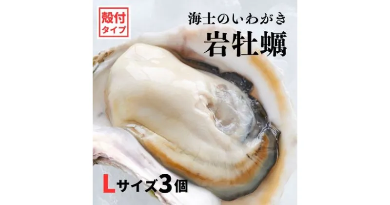 【ふるさと納税】【いわがき 殻付き Lサイズ 3個】 岩牡蠣 生食可 冷凍 牡蛎 牡蠣 かき カキ 岩牡蠣 いわがき 冷凍 父の日 母の日 バーベキュー ギフト