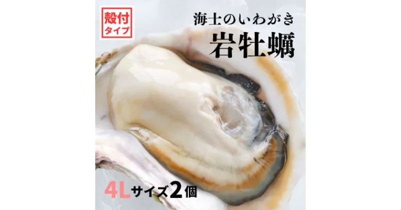 【ふるさと納税】【いわがき 殻付き4Lサイズ 2個】海士のいわがき 岩牡蠣 生食可 冷凍 牡蛎 牡蠣 かき カキ 岩牡蠣 いわがき 冷凍 父の日 母の日 バーベキュー ギフト