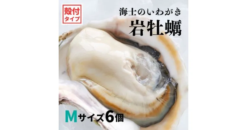 【ふるさと納税】【いわがき 殻付きMサイズ 6個】海士のいわがき 岩牡蠣 生食可 冷凍 牡蛎 牡蠣 かき カキ 岩牡蠣 いわがき 冷凍 父の日 母の日 バーベキュー ギフト