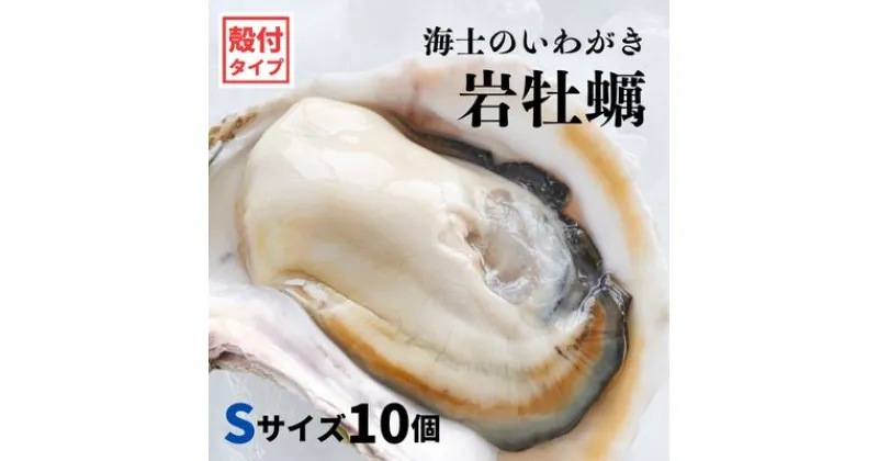 【ふるさと納税】【いわがき殻付き Sサイズ 10個】海士のいわがき 岩牡蠣 生食可 冷凍 牡蛎 牡蠣 かき カキ 岩牡蠣 いわがき 冷凍 父の日 母の日 バーベキュー ギフト