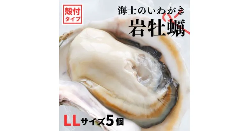 【ふるさと納税】【のし付き 岩牡蠣 殻付き LLサイズ 5個】海士のいわがき 岩牡蠣 生食可 冷凍 牡蛎 牡蠣 かき カキ 岩牡蠣 いわがき 冷凍 父の日 母の日 バーベキュー ギフト