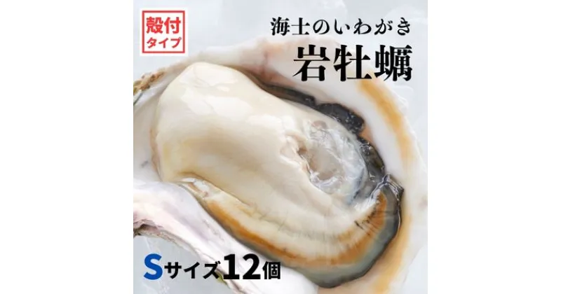 【ふるさと納税】【いわがき 殻付き Sサイズ 12個】 岩牡蠣 生食可 冷凍 牡蛎 牡蠣 かき カキ 岩牡蠣 いわがき 冷凍 父の日 母の日 バーベキュー ギフト