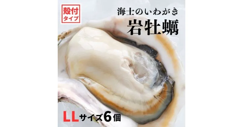 【ふるさと納税】【いわがき殻付き LLサイズ 6個】海士のいわがき 岩牡蠣 生食可 冷凍 牡蛎 牡蠣 かき カキ 岩牡蠣 いわがき 冷凍 父の日 母の日 バーベキュー ギフト