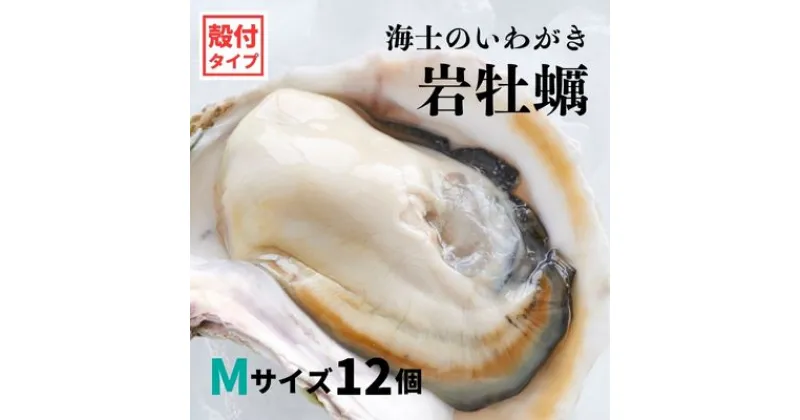 【ふるさと納税】【いわがき 殻付きMサイズ 12個】海士のいわがき 岩牡蠣 生食可 冷凍 牡蛎 牡蠣 かき カキ 岩牡蠣 いわがき 冷凍 父の日 母の日 バーベキュー ギフト