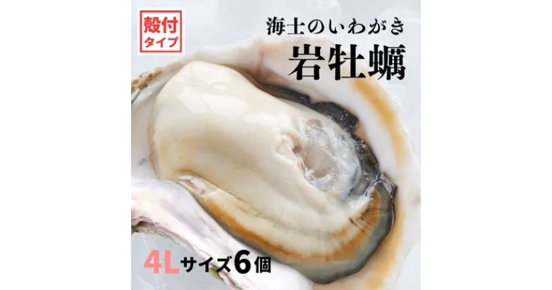 【ふるさと納税】【いわがき殻付き 4Lサイズ 6個】海士のいわがき 岩牡蠣 生食可 冷凍 牡蛎 牡蠣 かき カキ 岩牡蠣 いわがき 冷凍 父の日 母の日 バーベキュー ギフト