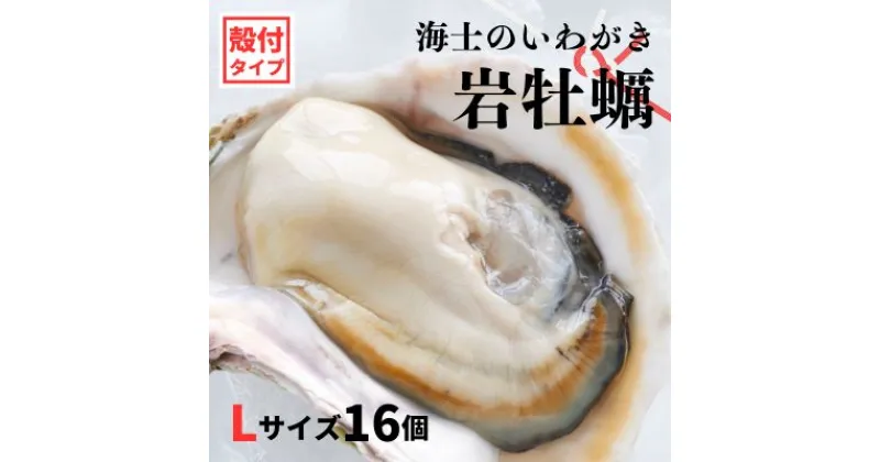 【ふるさと納税】【のし付き いわがき 殻付きLサイズ 16個】海士のいわがき 岩牡蠣 生食可 冷凍 牡蛎 牡蠣 かき カキ 岩牡蠣 いわがき 冷凍 父の日 母の日 バーベキュー ギフト