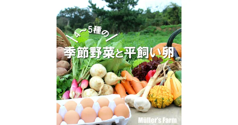 【ふるさと納税】【季節野菜・平飼い卵セット】季節野菜4〜5種 平飼い卵10個 セット 農薬不使用だから安心安全！ 母の日 父の日 バーベキュー ギフト