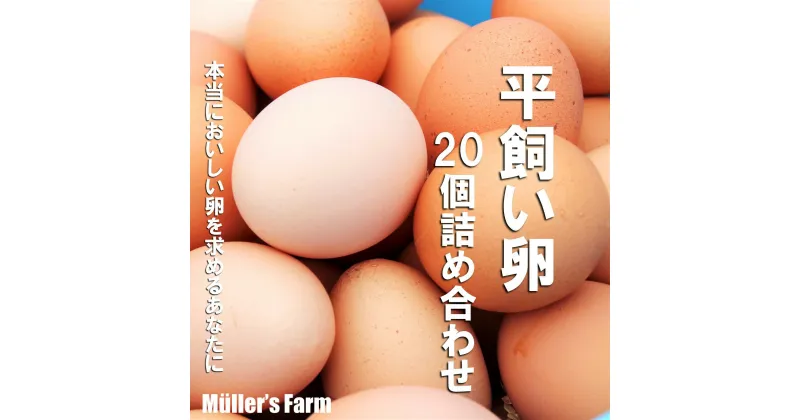 【ふるさと納税】【平飼い卵20個セット】 母の日 父の日 バーベキュー ギフト