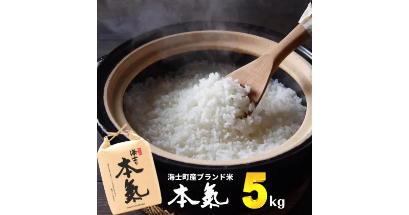 【ふるさと納税】【令和6年産! 本氣米5kg】甘くてもっちり島のブランド米 本氣米 お米 精米 白米 弁当 ごはん ご飯 おにぎり ギフト【新米先行予約】