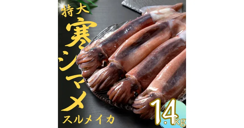 【ふるさと納税】【寒シマメ 特大サイズ まるごと4杯セット】 1.4kg〜1.6kg いか イカ スルメイカ 朝どれ寒シマメ 父の日 母の日 バーベキュー ギフト