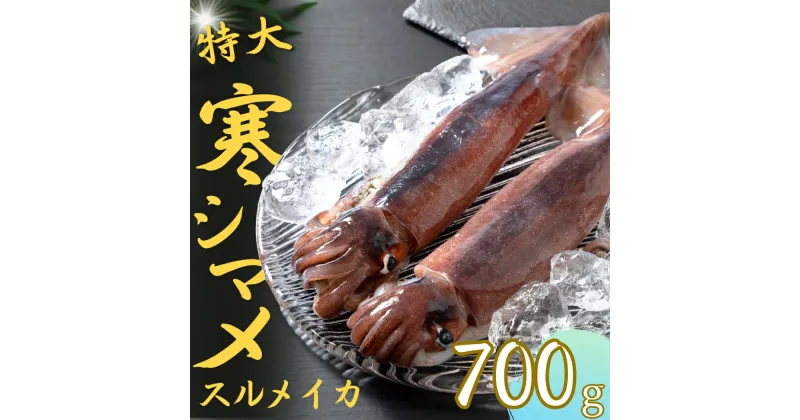 【ふるさと納税】【寒シマメ 特大サイズ 丸ごと2杯セット】700g〜800g いか イカ スルメイカ 朝どれ寒シマメ 父の日 母の日 バーベキュー ギフト