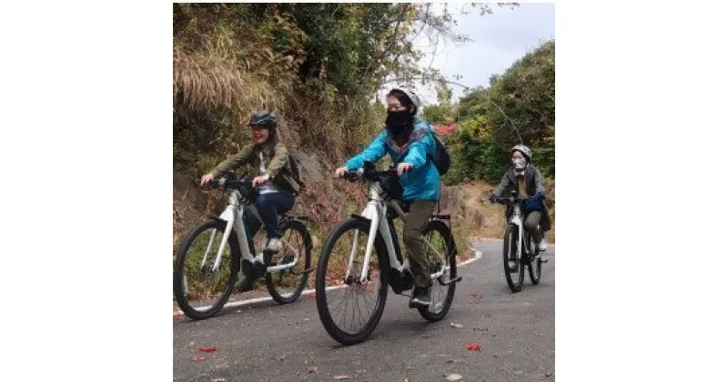 【ふるさと納税】Eバイクレンタル1泊2日（1名様用）