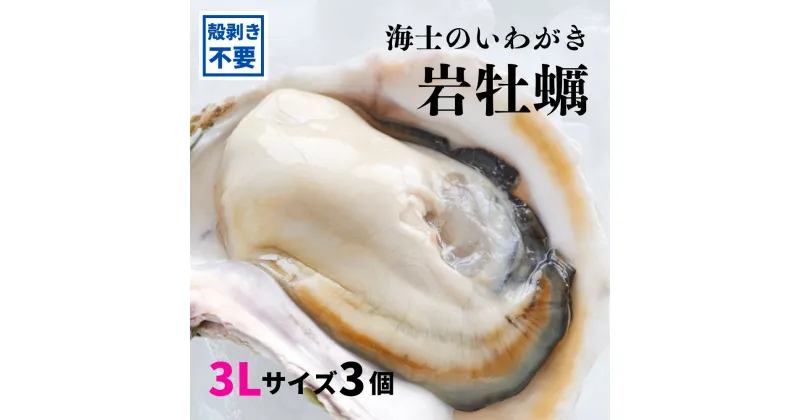 【ふるさと納税】【いわがき 殻なし 3Lサイズ 3個】海士のいわがき 岩牡蠣 生食可 冷凍 牡蛎 牡蠣 かき カキ 岩牡蠣 いわがき 冷凍 父の日 母の日 バーベキュー ギフト