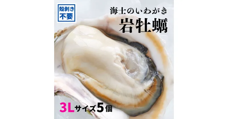 【ふるさと納税】【海士のいわがき 殻なし 3Lサイズ 5個】 岩牡蠣 生食可 冷凍 牡蛎 牡蠣 かき カキ 岩牡蠣 いわがき冷凍 父の日 母の日 バーベキュー ギフト