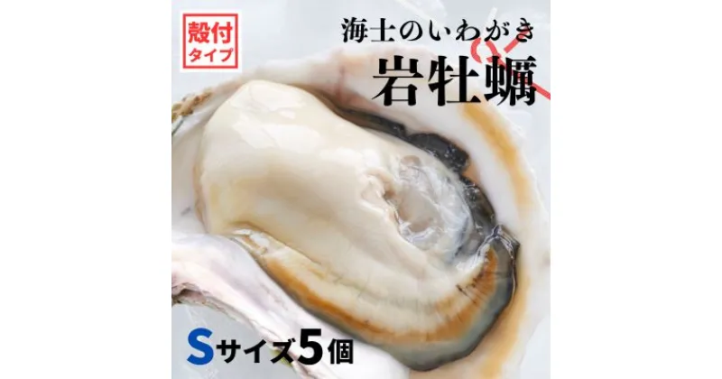 【ふるさと納税】【のし付き いわがき 殻付きSサイズ 5個】海士のいわがき 岩牡蠣 生食可 冷凍 牡蛎 牡蠣 かき カキ 岩牡蠣 いわがき 冷凍 父の日 母の日 バーベキュー ギフト