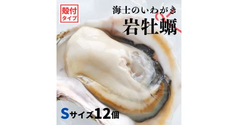 【ふるさと納税】【のし付き いわがき 殻付きSサイズ 12個】海士のいわがき 岩牡蠣 生食可 冷凍 牡蛎 牡蠣 かき カキ 岩牡蠣 いわがき 冷凍 父の日 母の日 バーベキュー ギフト