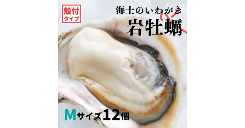 【ふるさと納税】【のし付き いわがき 殻付きMサイズ 12個】海士のいわがき 岩牡蠣 生食可 冷凍 牡蛎 牡蠣 かき カキ 岩牡蠣 いわがき 冷凍 父の日 母の日 バーベキュー ギフト