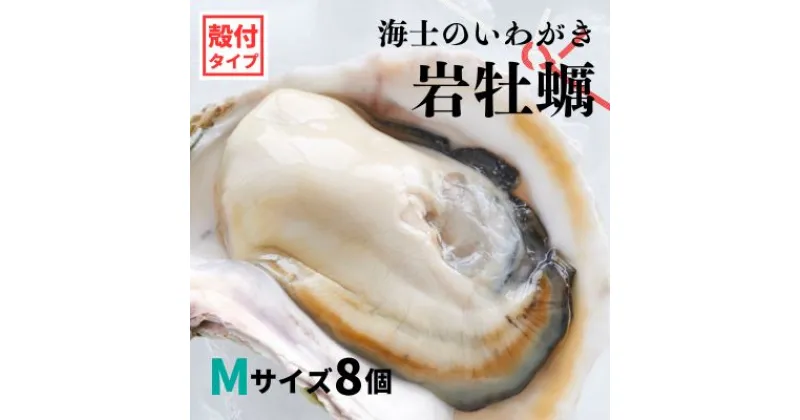 【ふるさと納税】【のし付き いわがき 殻付きMサイズ 8個】海士のいわがき 岩牡蠣 生食可 冷凍 牡蛎 牡蠣 かき カキ 岩牡蠣 いわがき 冷凍 父の日 母の日 バーベキュー ギフト