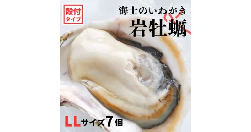 【ふるさと納税】【のし付き いわがき 殻付きLLサイズ 7個】海士のいわがき 岩牡蠣 生食可 冷凍 牡蛎 牡蠣 かき カキ 岩牡蠣 いわがき 冷凍 父の日 母の日 バーベキュー ギフト