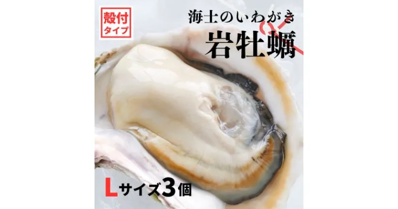 【ふるさと納税】【のし付き いわがき 殻付きLサイズ 3個】海士のいわがき 岩牡蠣 生食可 冷凍 牡蛎 牡蠣 かき カキ 岩牡蠣 いわがき 冷凍 父の日 母の日 バーベキュー ギフト