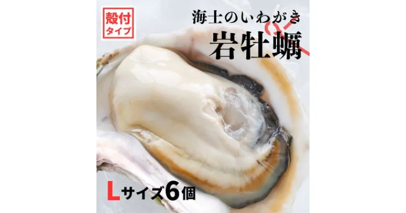 【ふるさと納税】【のし付き いわがき 殻付きLサイズ 6個】海士のいわがき 岩牡蠣 生食可 冷凍 牡蛎 牡蠣 かき カキ 岩牡蠣 いわがき 冷凍 父の日 母の日 バーベキュー ギフト