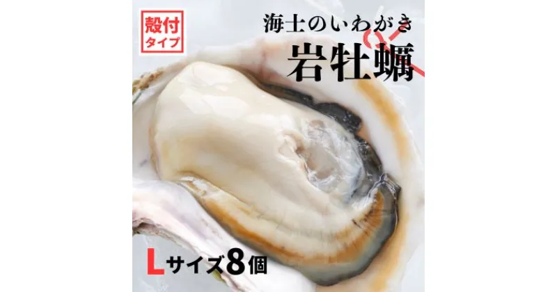 【ふるさと納税】【のし付き いわがき 殻付きLサイズ 8個】海士のいわがき 岩牡蠣 生食可 冷凍 牡蛎 牡蠣 かき カキ 岩牡蠣 いわがき 冷凍 父の日 母の日 バーベキュー ギフト