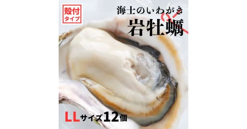 【ふるさと納税】【のし付き いわがき 殻付きLLサイズ 12個】海士のいわがき 岩牡蠣 生食可 冷凍 牡蛎 牡蠣 かき カキ 岩牡蠣 いわがき 冷凍 父の日 母の日 バーベキュー ギフト