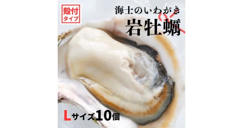 【ふるさと納税】【のし付き いわがき 殻付きLサイズ 10個】海士のいわがき 岩牡蠣 生食可 冷凍 牡蛎 牡蠣 かき カキ 岩牡蠣 いわがき 冷凍 父の日 母の日 バーベキュー ギフト